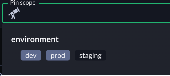 Pinned scopes page display